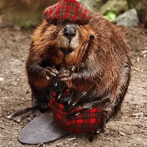 Keltisch-sounds Radio