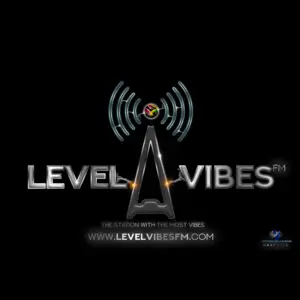 Level Vibes Fm Radio
