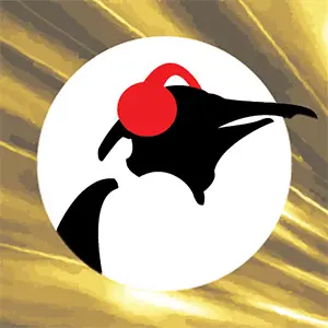 Pinguin Klassiker FM